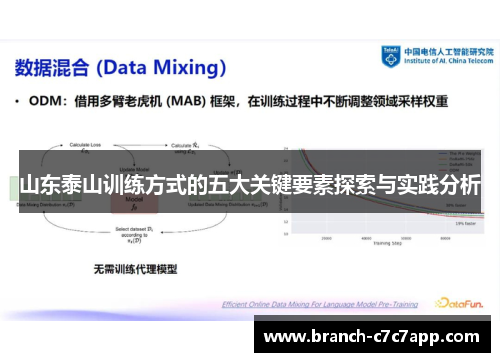 山东泰山训练方式的五大关键要素探索与实践分析