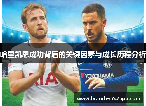 哈里凯恩成功背后的关键因素与成长历程分析 哈里凯恩成功背后的关键因素与成长历程分析