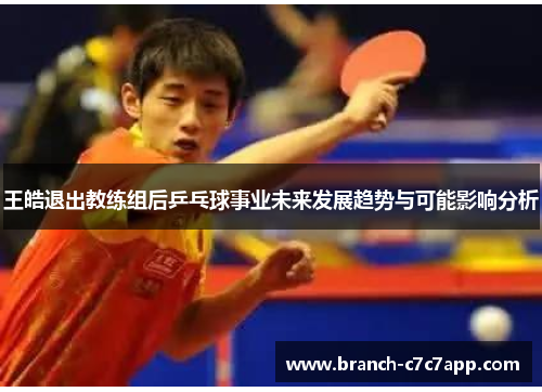 王皓退出教练组后乒乓球事业未来发展趋势与可能影响分析 王皓退出教练组后乒乓球事业未来发展趋势与可能影响分析
