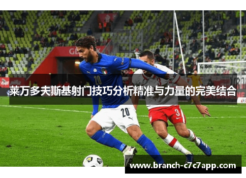 莱万多夫斯基射门技巧分析精准与力量的完美结合 莱万多夫斯基射门技巧分析精准与力量的完美结合