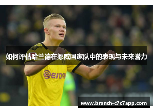 如何评估哈兰德在挪威国家队中的表现与未来潜力