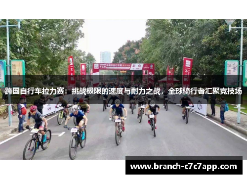 跨国自行车拉力赛：挑战极限的速度与耐力之战，全球骑行者汇聚竞技场