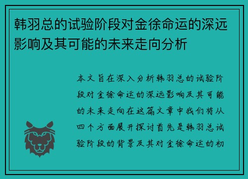 韩羽总的试验阶段对金徐命运的深远影响及其可能的未来走向分析